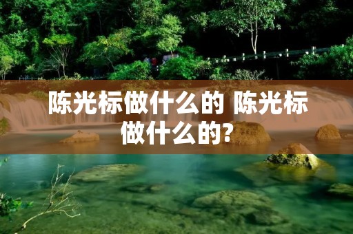 陈光标做什么的 陈光标做什么的?