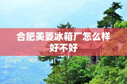 合肥美菱冰箱厂怎么样好不好:品质出众,服务一流 合肥美菱冰箱厂怎么样好不好:品质出众,服务一流