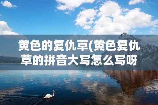 黄色的复仇草(黄色复仇草的拼音大写怎么写呀怎么读) 黄色的复仇草(黄色复仇草的拼音大写怎么写呀怎么读)