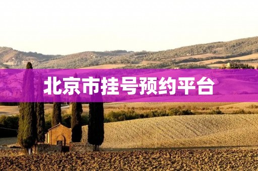 北京市挂号预约平台:为您提供便捷的医疗服务 北京市挂号预约平台:为您提供便捷的医疗服务