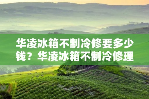 华凌冰箱不制冷修要多少钱？华凌冰箱不制冷修理费用解析