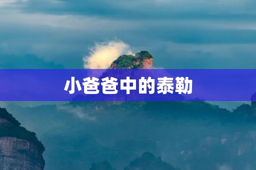 小爸爸中的泰勒：一个充满温情与勇气的父亲形象