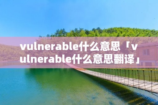 vulnerable什么意思「vulnerable什么意思翻译」