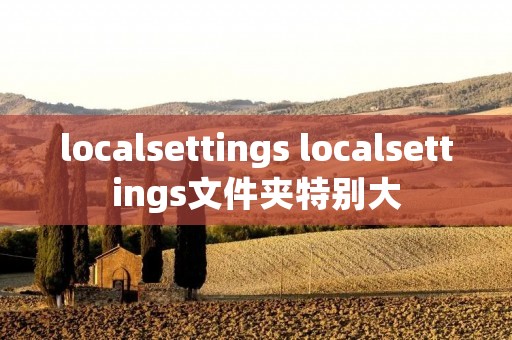 localsettings localsettings文件夹特别大