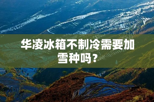 华凌冰箱不制冷需要加雪种吗? 华凌冰箱不制冷需要加雪种吗?