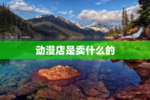 动漫店是卖什么的 动漫店是卖什么的