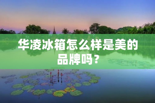 华凌冰箱怎么样是美的品牌吗? 华凌冰箱怎么样是美的品牌吗?