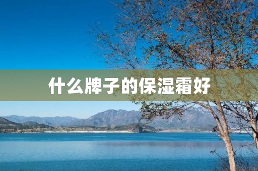 什么牌子的保湿霜好 什么牌子的保湿霜好