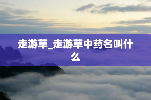 走游草_走游草中药名叫什么 走游草_走游草中药名叫什么