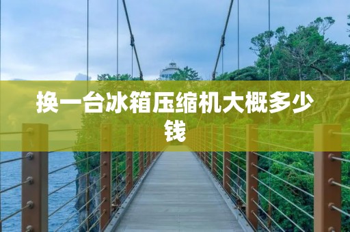 换一台冰箱压缩机大概多少钱 换一台冰箱压缩机大概多少钱