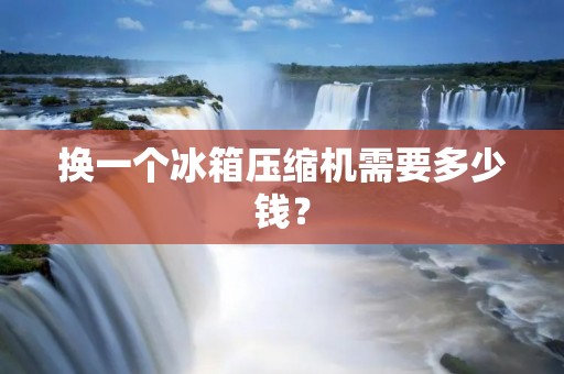 换一个冰箱压缩机需要多少钱？