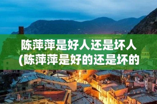 陈萍萍是好人还是坏人(陈萍萍是好的还是坏的)