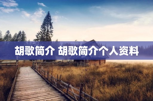 胡歌简介 胡歌简介个人资料