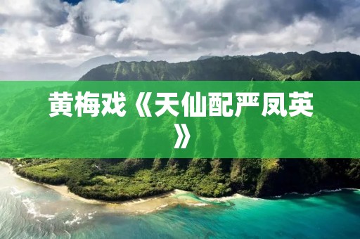 黄梅戏《天仙配严凤英》：传承经典，展现百年魅力