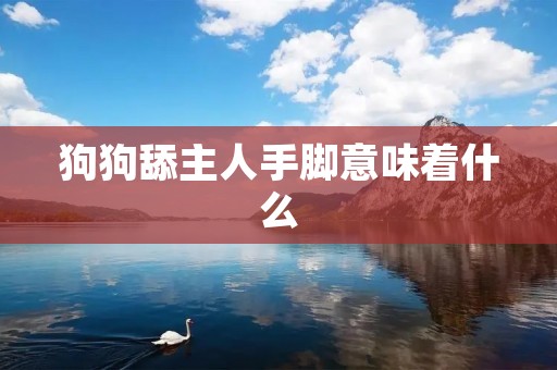 狗狗舔主人手脚意味着什么 狗狗舔主人手脚意味着什么