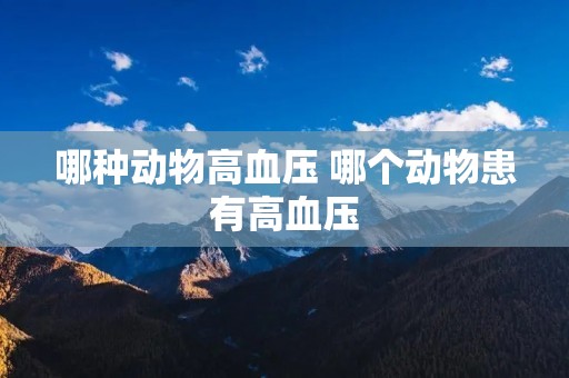哪种动物高血压 哪个动物患有高血压
