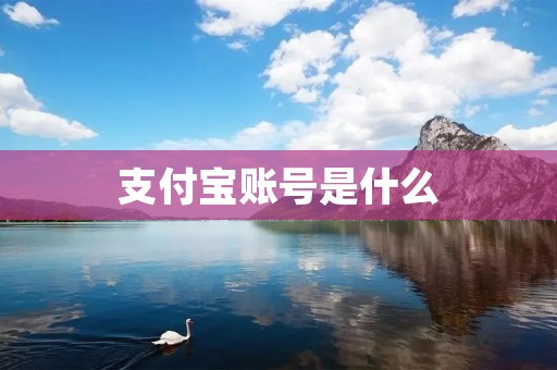 支付宝账号是什么 支付宝账号是什么
