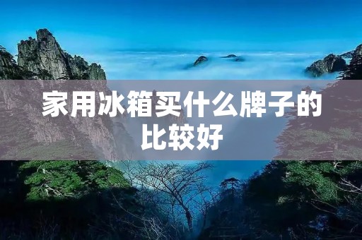 家用冰箱买什么牌子的比较好