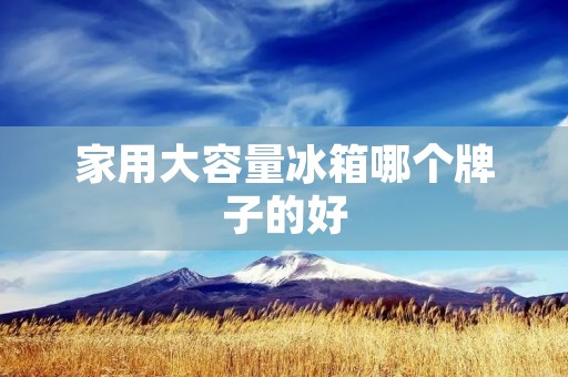 家用大容量冰箱哪个牌子的好