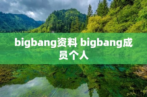 bigbang资料 bigbang成员个人