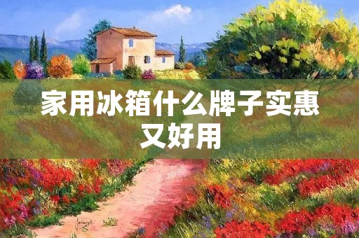 家用冰箱什么牌子实惠又好用：详细介绍家用冰箱的选择与推荐