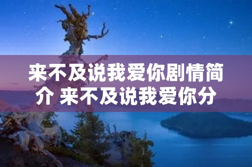 来不及说我爱你剧情简介 来不及说我爱你分集剧情电视猫