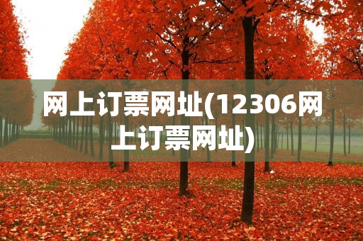 网上订票网址(12306网上订票网址)