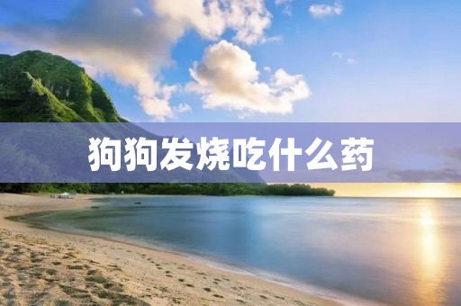 狗狗发烧吃什么药