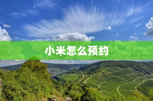 小米怎么预约:轻松抢购小米新品的方法 小米怎么预约:轻松抢购小米新品的方法