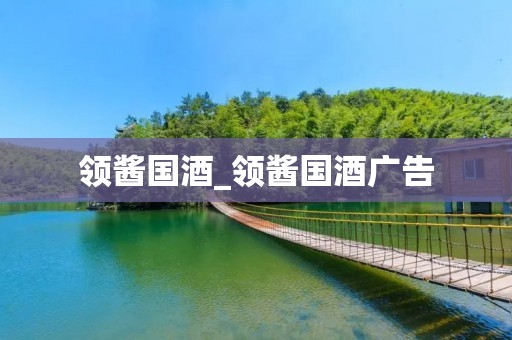 领酱国酒_领酱国酒广告