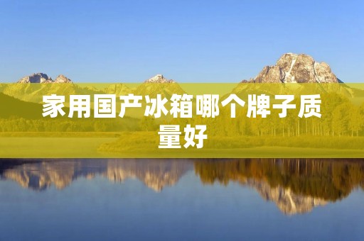 家用国产冰箱哪个牌子质量好 家用国产冰箱哪个牌子质量好