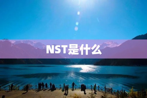 NST是什么