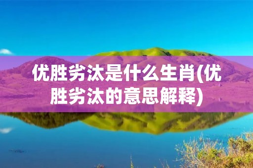 优胜劣汰是什么生肖(优胜劣汰的意思解释) 优胜劣汰是什么生肖(优胜劣汰的意思解释)