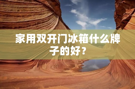 家用**门冰箱什么牌子的好？