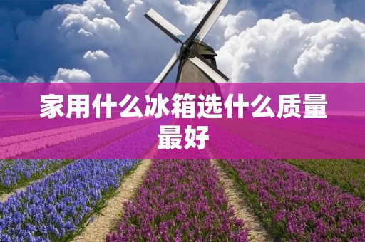 家用什么冰箱选什么质量最好