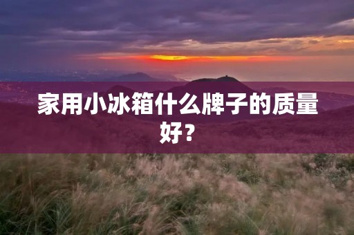 家用小冰箱什么牌子的质量好? 家用小冰箱什么牌子的质量好?