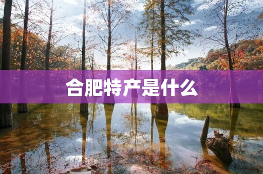 合肥特产是什么 合肥特产是什么