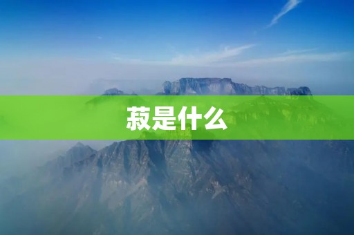菽是什么