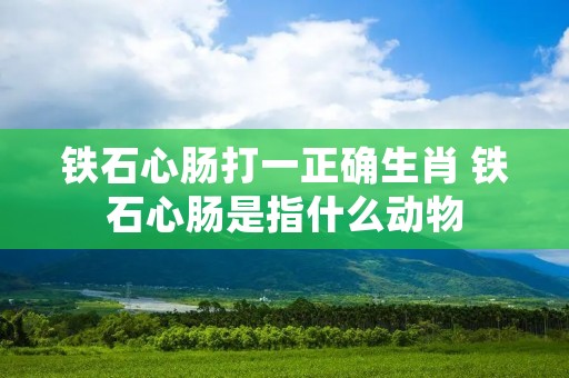 铁石心肠打一正确生肖 铁石心肠是指什么动物