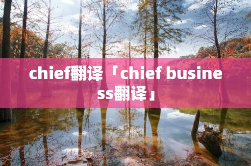 chief翻译「chief business翻译」
