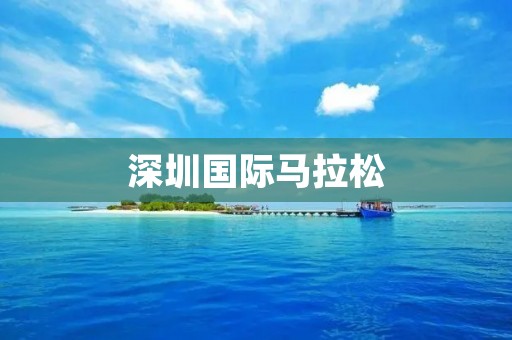 深圳国际马拉松：奔跑在城市的翼上