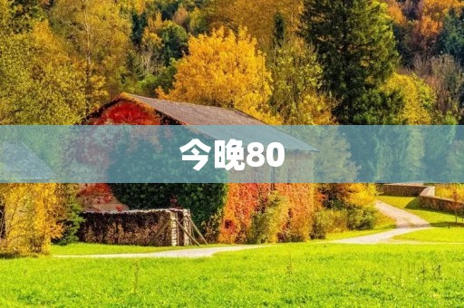 今晚80:一次震撼人心的音乐之夜 今晚80:一次震撼人心的音乐之夜