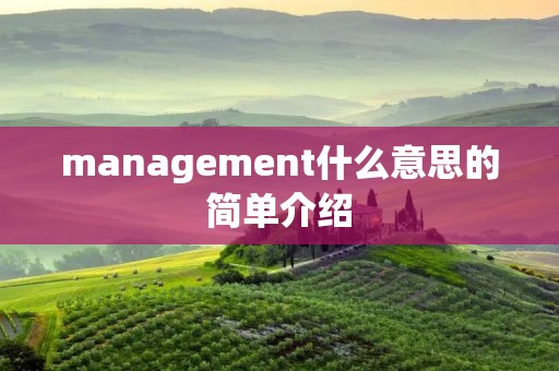 management什么意思的简单介绍 management什么意思的简单介绍