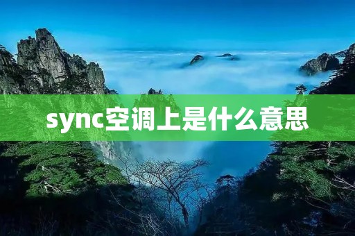 sync空调上是什么意思