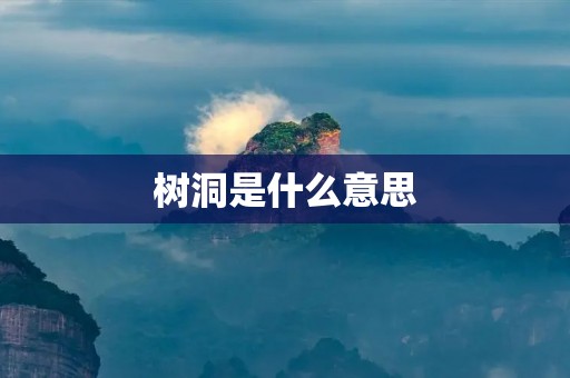 树洞是什么意思