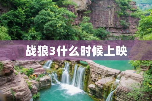 战狼3什么时候上映 战狼3什么时候上映