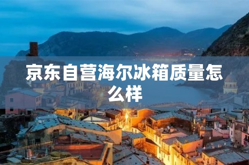 京东自营海尔冰箱质量怎么样