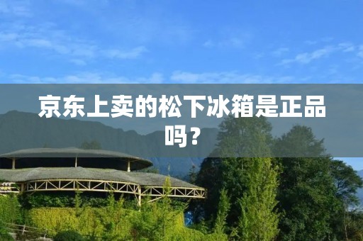 京东上卖的松下冰箱是正品吗？