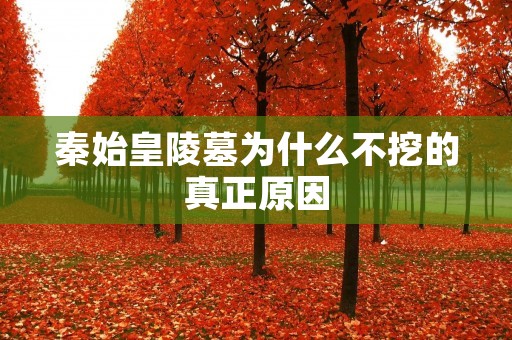秦始皇陵墓为什么不挖的真正原因