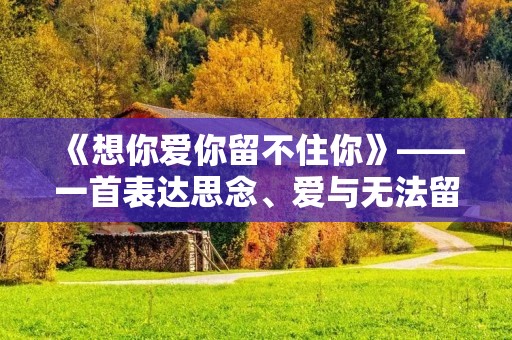 《想你爱你留不住你》——一首表达思念、爱与无法留住的歌曲 《想你爱你留不住你》——一首表达思念、爱与无法留住的歌曲